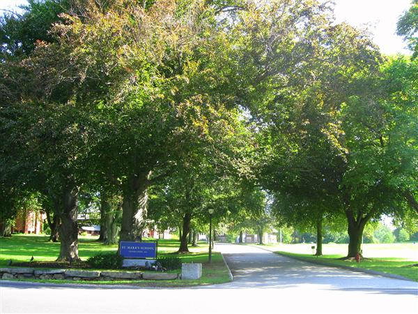 St. Mark's School